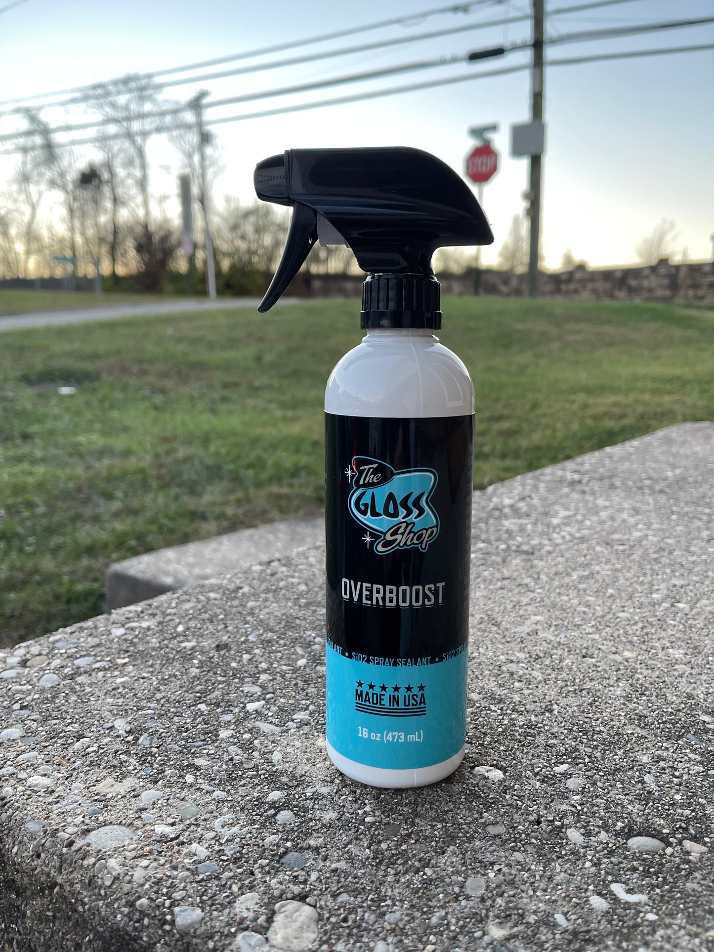 The Gloss Shop Overboost | 16 ounce